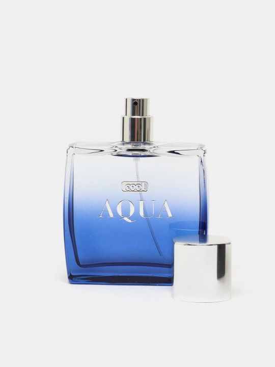 Туалетная вода Dilis Aqua Cool, 100 мл - 