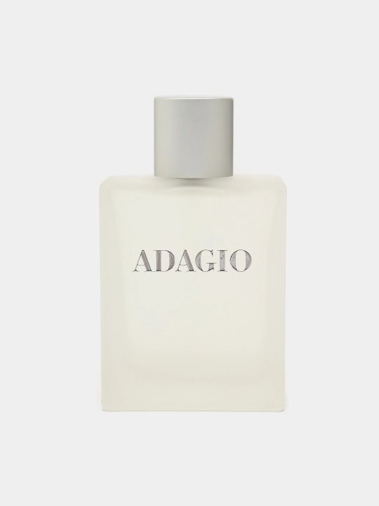 Туалетная вода Dilis Adagio, 100 мл