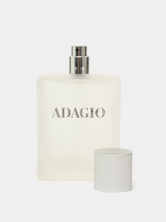 Туалетная вода Dilis Adagio, 100 мл