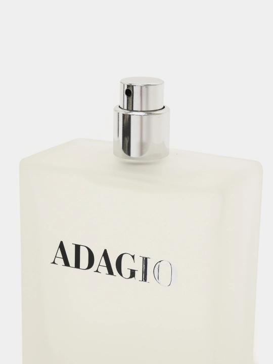 Туалетная вода Dilis Adagio, 100 мл