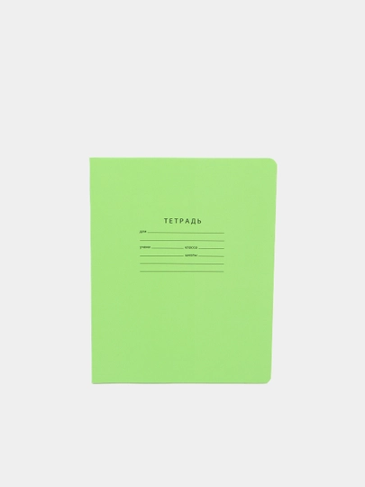 Тетрадь BG Отличная 7320, лаймовая, 18 листов — DESKFOR-P004CED