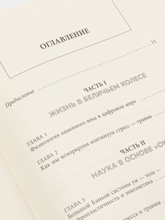 Приоткрой свое окно. Программа восстановления после продолжительного стресса
