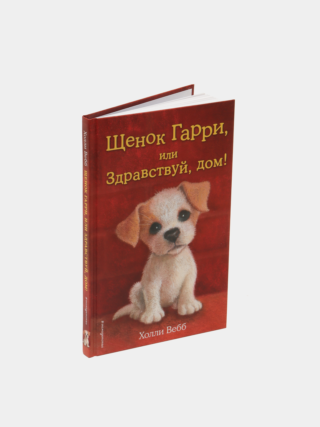 Щенок Гарри, или Здравствуй, дом!, Холли Вебб купить по низким ценам в  интернет-магазине Uzum (57951)