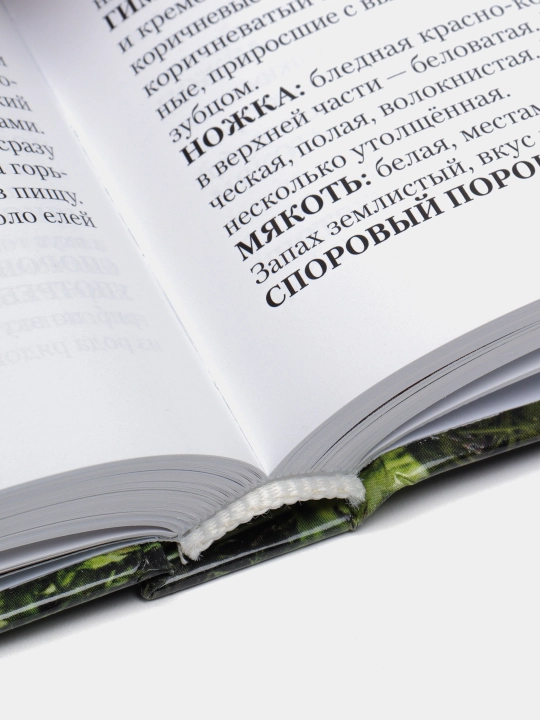 Грибы. Самый полный гид: как классифицировать, собирать и готовить грибы. Маркус Флюк