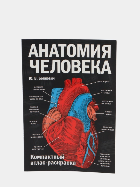 Anatomiya cheloveka: kompaktniy atlas-raskraska, Yuriy Boyanovich - 