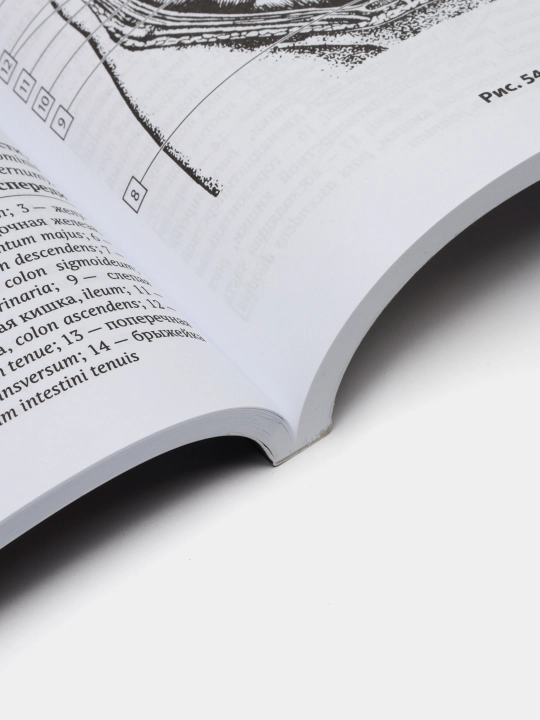 Anatomiya cheloveka: kompaktniy atlas-raskraska, Yuriy Boyanovich