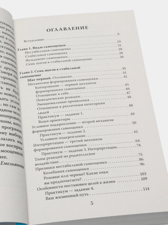 7 shagov k stabil'noy samootsenke, Boris Litvak