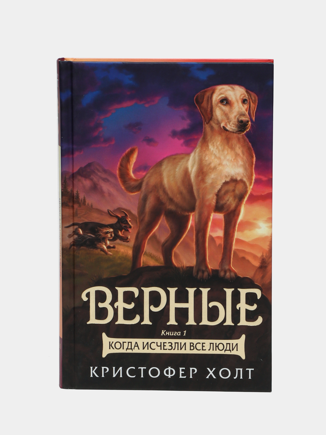 Верные Книга 2 Купить