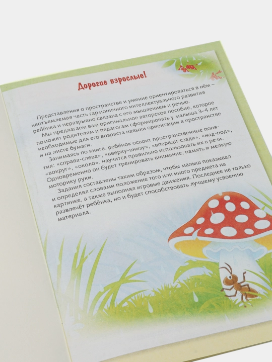 Я играю и учусь! Развитие пространственного мышления и речи. Султанова Марина