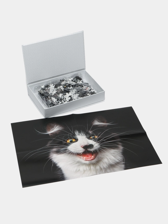 O'yin Puzzle Hatber Legend, 500 elementdan iborat