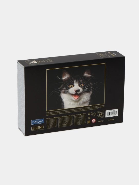 O'yin Puzzle Hatber Legend, 500 elementdan iborat