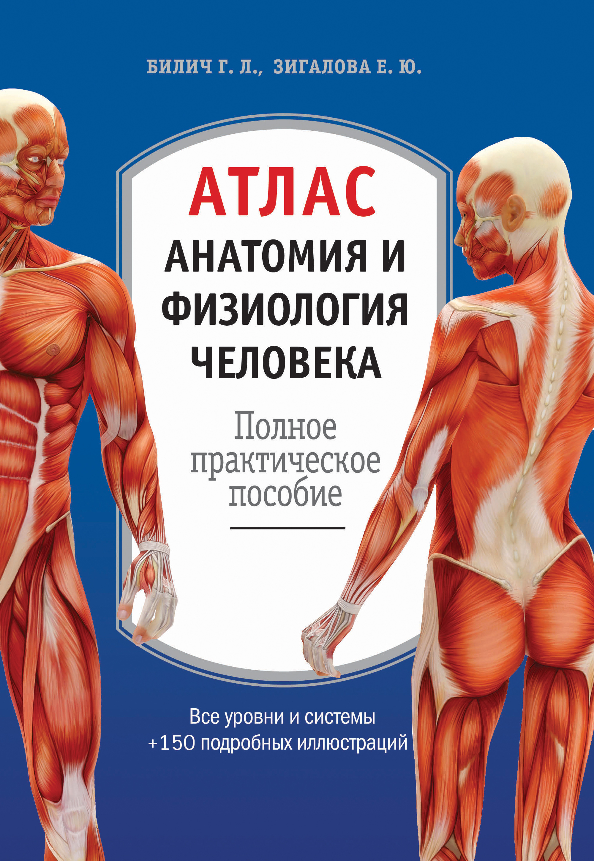 Атлас человека. Билич анатомия человека медицинский атлас. Билич Габриэль Лазаревич. Билич Зигалова анатомия и физиология атлас. Атлас анатомия человека г л Билич.