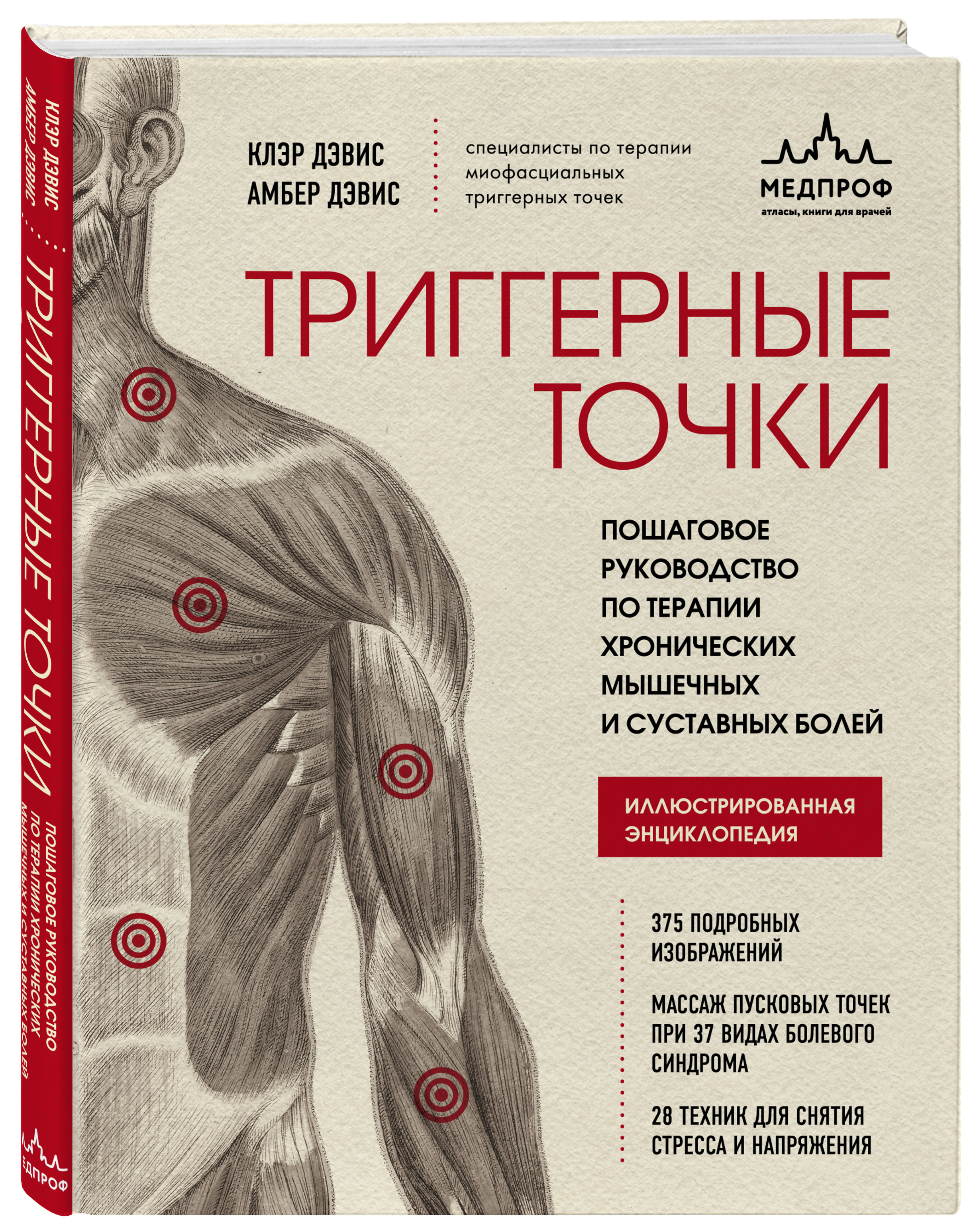 Карта триггерные точки на теле. Подостная мышца триггерные точки. Триггерные точки трапециевидной мышцы. Массаж триггерных точек что это. Триггерные точки в китайской медицине.