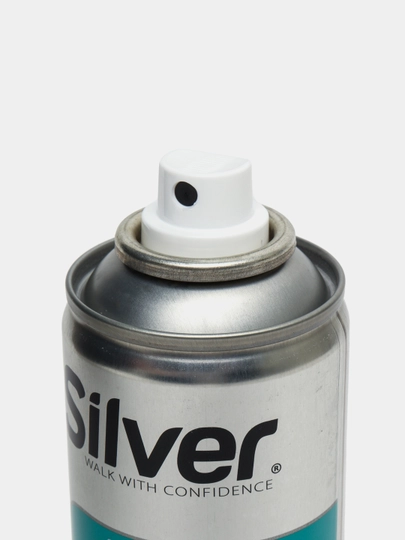 Краска-спрей восстановитель Silver, для кожаной обуви, 250 мл, черный — PROCTER-P02C0D6