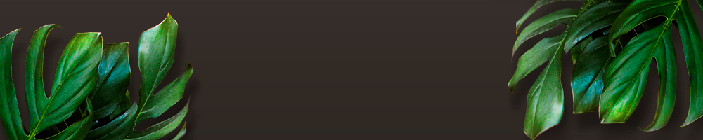 LUIZASTORE.UZ