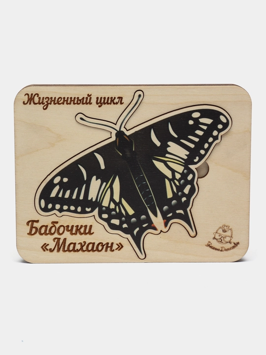 Деревянные пазлы для детей Жизненный цикл бабочки, развивающая игрушка