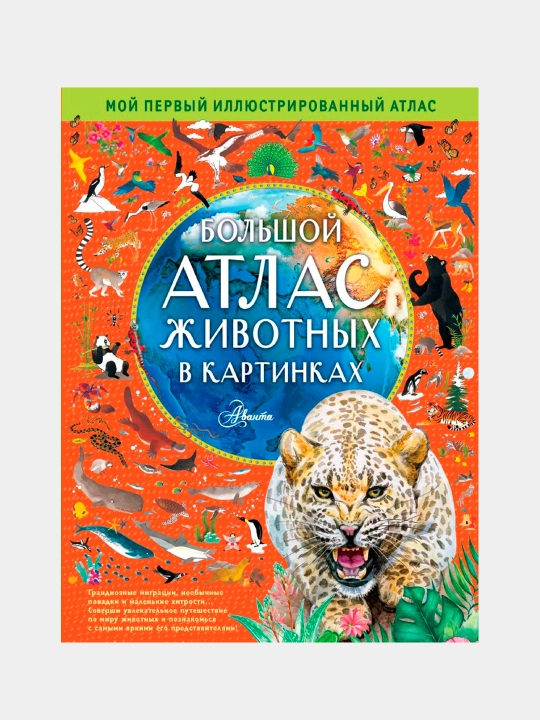 Большой атлас животных в картинках, Эмили Уильямс Рейчел Хокинс