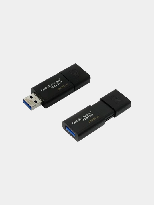 Flesh-disk USB Kingston DataTraveler 100 G3, 256GB