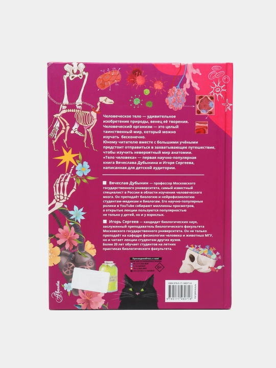 Тело человека — Вячеслав Дубынин, Игорь Сергеев | Иллюстрированная энциклопедия