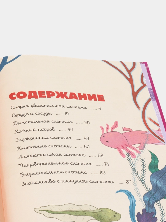 Тело человека — Вячеслав Дубынин, Игорь Сергеев | Иллюстрированная энциклопедия
