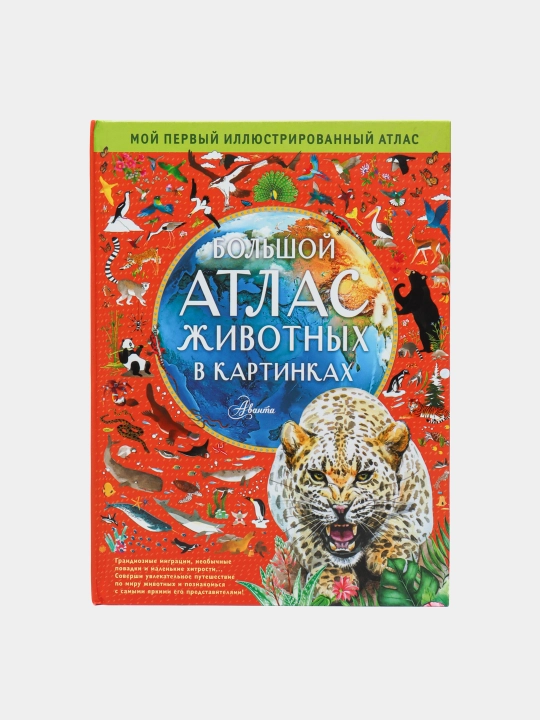 Bol'shoy atlas zhivotnykh v kartinkakh, Emili Uil'yams Reychel Khokins - 