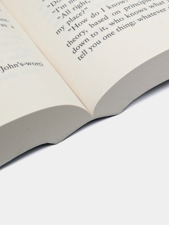 Y is for Yesterday, Sue Grafton