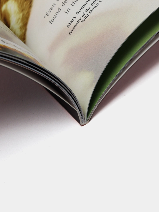 Navigators: Killer Creatures, Claire Llewellyn