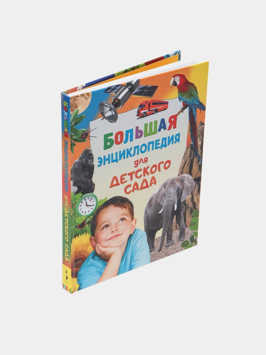 Большая энциклопедия для детского сада—Л Гальперштейн|Познавательная книга для дошколников