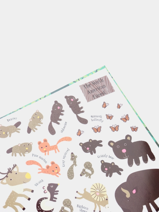 All Around the World: Animal Kingdom, Geraldine Cosneau