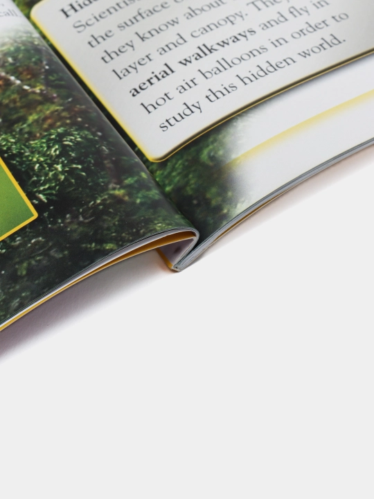 Kingfisher Readers L5: Rainforests, James Harrison