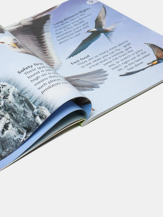 Discover Science: Birds, Nicola Davies