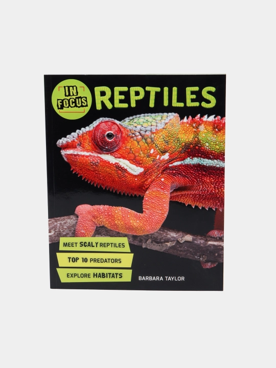 In Focus: Reptiles, Barbara Taylor - 