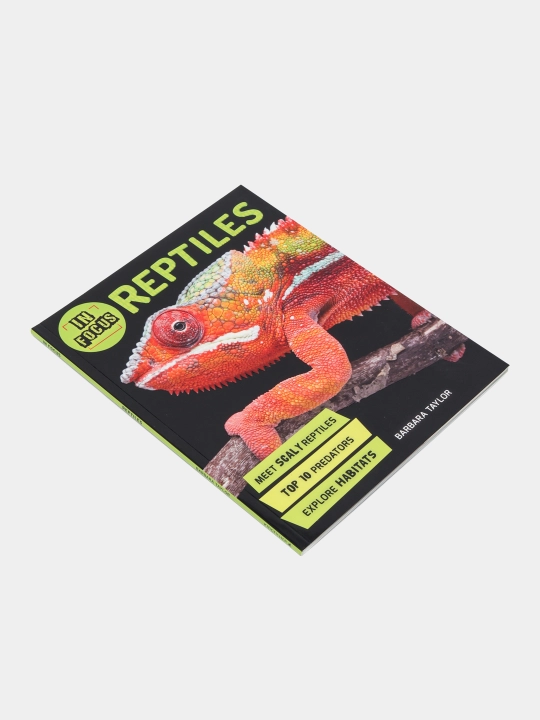 In Focus: Reptiles, Barbara Taylor