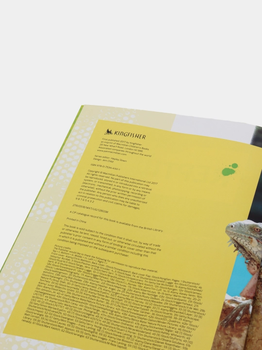 In Focus: Reptiles, Barbara Taylor