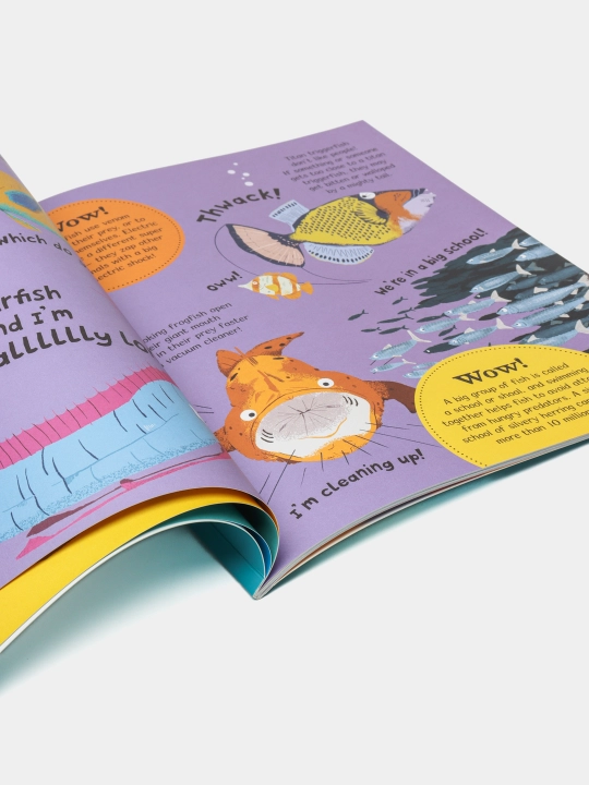 Wow! Oceans. A Book of Extraordinary Facts,  Camilla de la Bedoyere