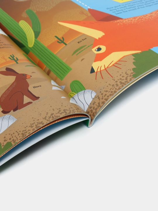 Discover It Yourself: Animals In Action, Sally Morgan