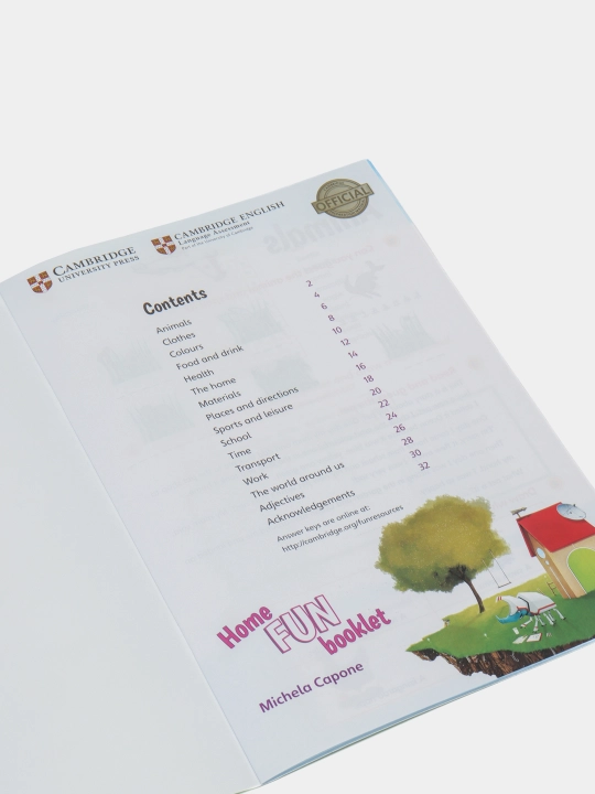 Storyfun Home Fun Booklet. Level 6, Michela Capone