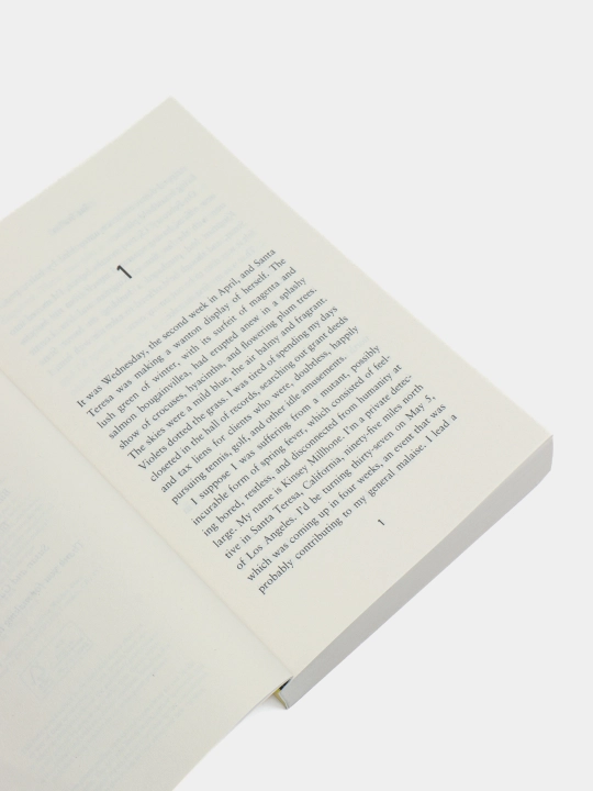 Q is for Quarry, Sue Grafton