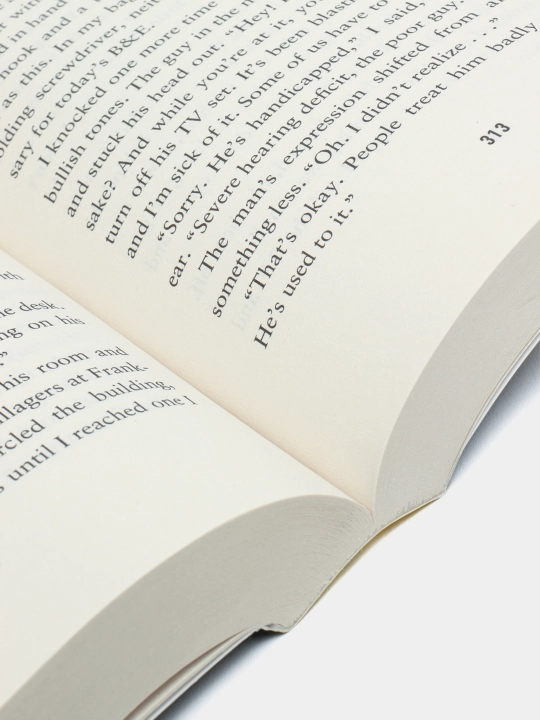 Q is for Quarry, Sue Grafton