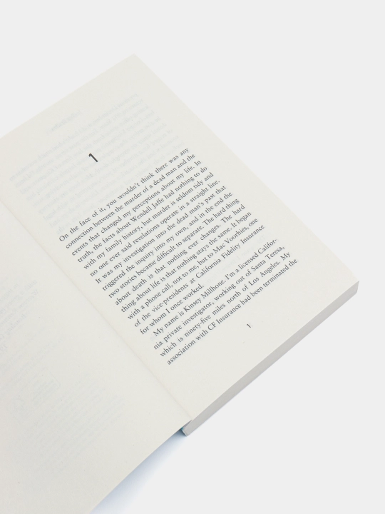 J Is For Judgment, Sue Grafton