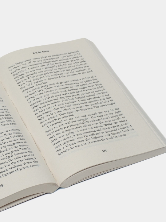N Is For Noose, Sue Grafton