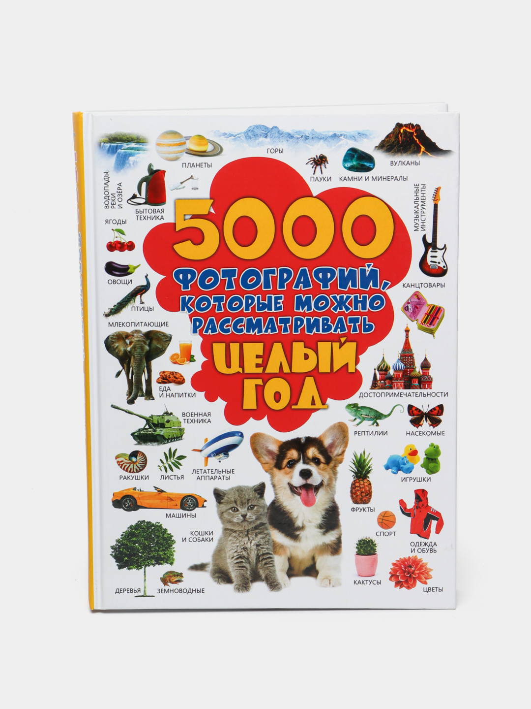 5000 Картинок Книга Целый Год