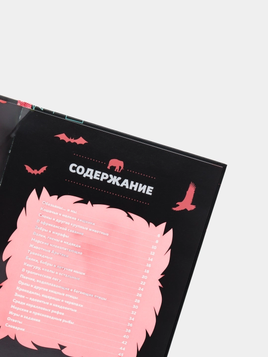 Дикие животные — Эммануэль Мативэ | Иллюстрированная энциклопедия о животных для детей