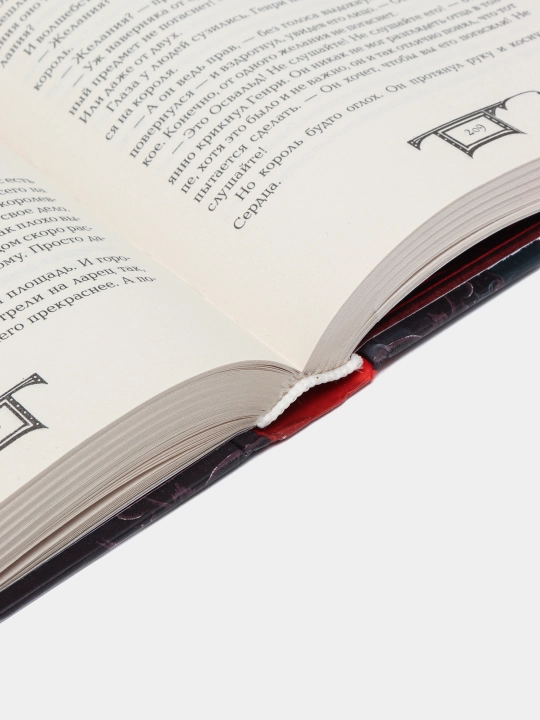Дарители. Книга 2. Короли будущего. Фэнтези о магии, тайнах и захватывающих приключениях