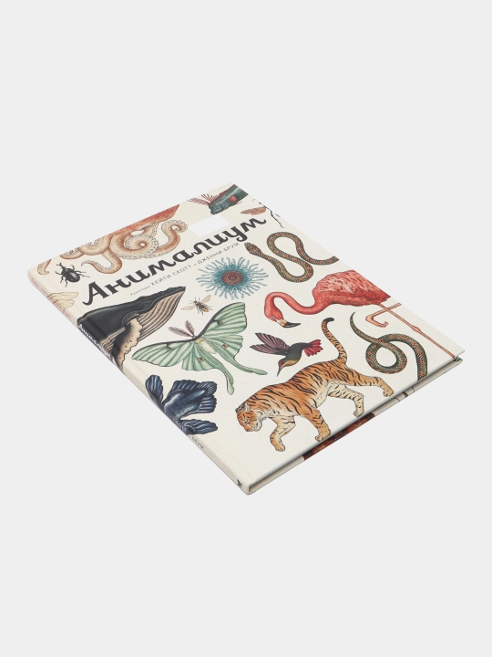 Animalium - rang-barang rasmlar bilan bezatilgan hayvonlar haqidagi kitob | Jenni Brum