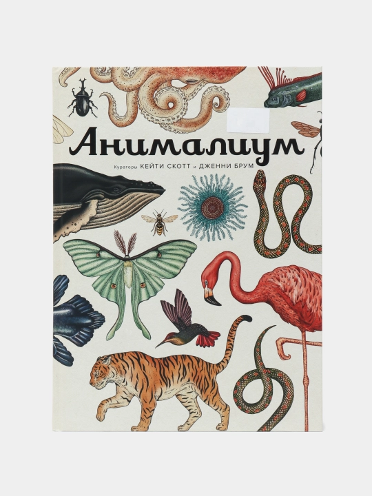 Animalium - rang-barang rasmlar bilan bezatilgan hayvonlar haqidagi kitob | Jenni Brum - 