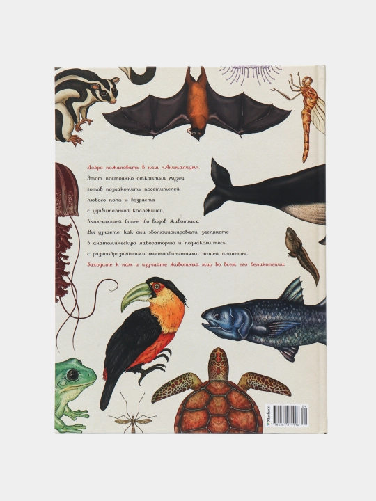 Animalium - rang-barang rasmlar bilan bezatilgan hayvonlar haqidagi kitob | Jenni Brum