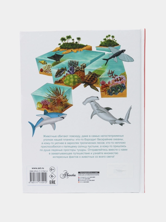 «Zhivotnye» — hayvonlar olami haqidagi illustratsiyali ensiklopediya, Illariya Barsotti