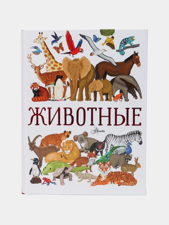 «Zhivotnye» — hayvonlar olami haqidagi illustratsiyali ensiklopediya, Illariya Barsotti - 