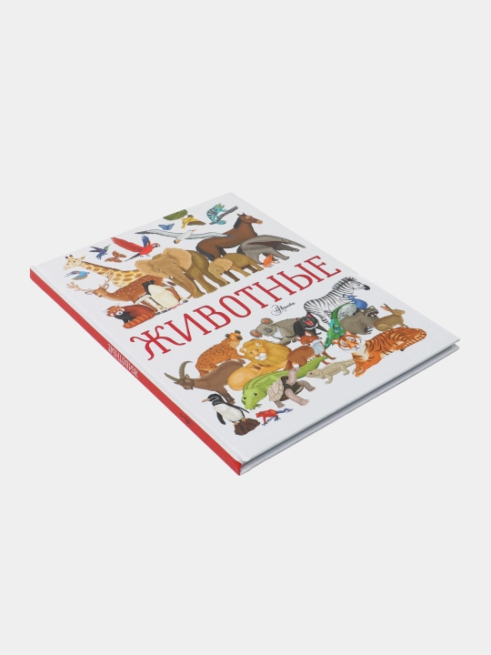 «Zhivotnye» — hayvonlar olami haqidagi illustratsiyali ensiklopediya, Illariya Barsotti